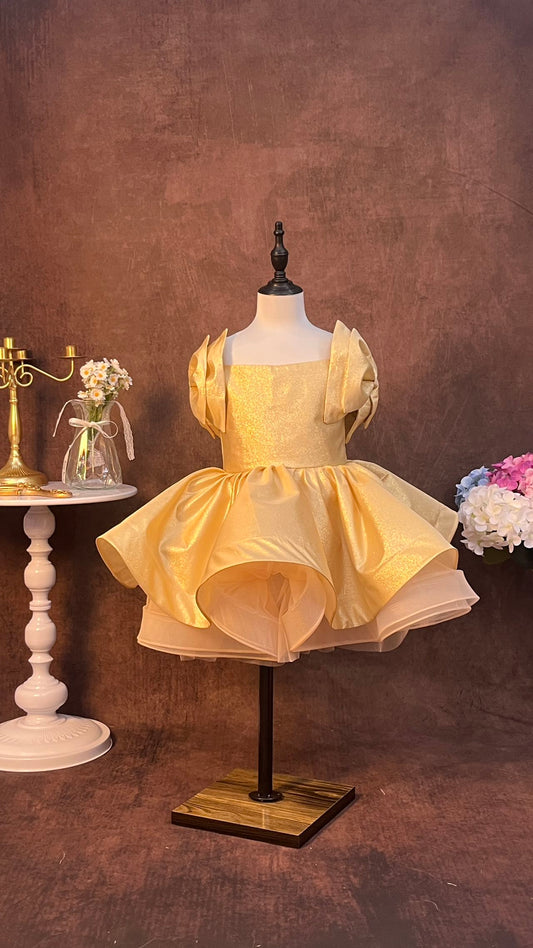 Flower Girl Dress Toddler Short Girl Pageant Dresses A Line Short Puffy Birthday Party Dress with Bow